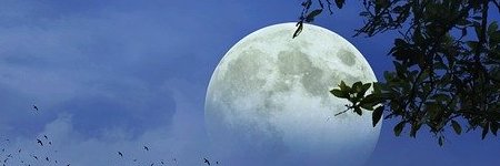 Energie update Rode Maan levenspad 13 - 25 december 2022: Bewust je licht voeden